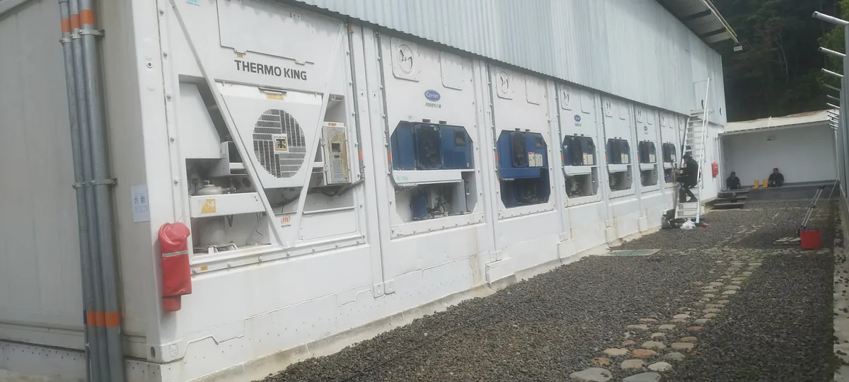Fila de contenedores refrigerados conectados en un patio de carga
